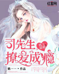 心上甜婚：司先生免费阅读 司权鹤温月光小说全文在线阅读