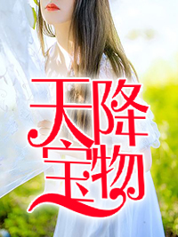 《天降宝物》完结版精彩阅读 苏夏江诗薇小说在线阅读
