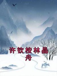 主角叫许钦桉林晶舟的小说是什么 许钦桉林晶舟全文免费阅读
