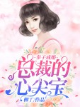 《奉子成婚：总裁的心尖宝》周晓苒陆峥全文免费阅读